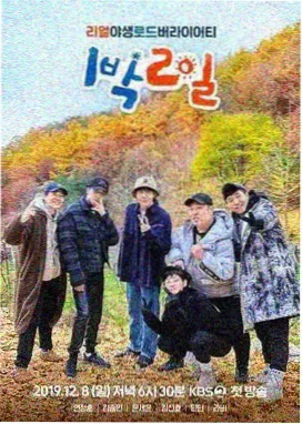 明星大侦探 天鹅视频分类